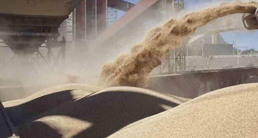 Retenciones: bajan para el campo y se eliminan para las economías regionales