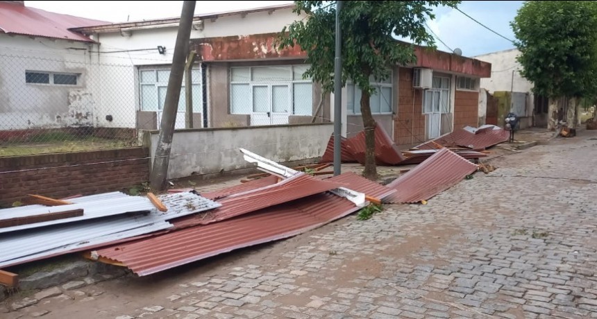 Temporal en Dorrego: Del Valle informó los daños que dejó