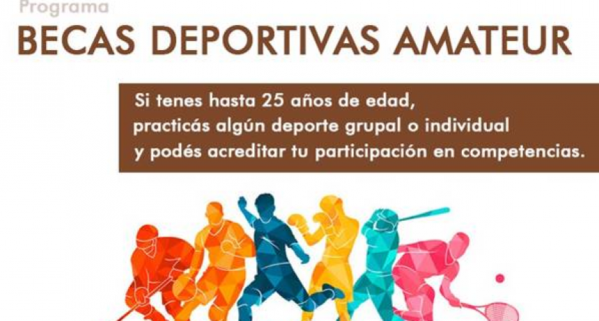 Informes municipales