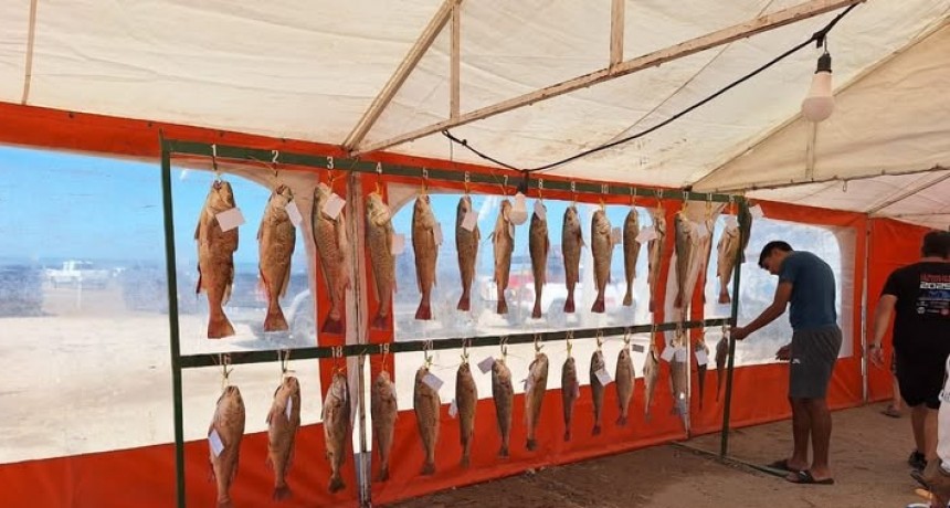 Pesca en San Cayetano: Guillermo Nielsen y Néstor Ibarra fueron cuarto y sexto 