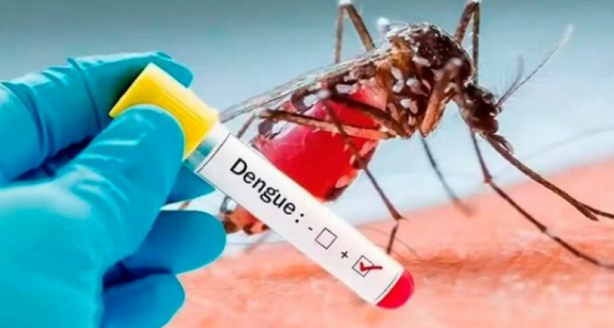 El Ministerio de Salud advierte por aumento sostenido de casos de dengue en el país