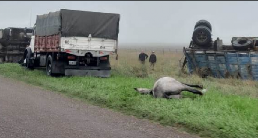 Volcó un camión tras esquivar a una camioneta que chocó contra un caballo