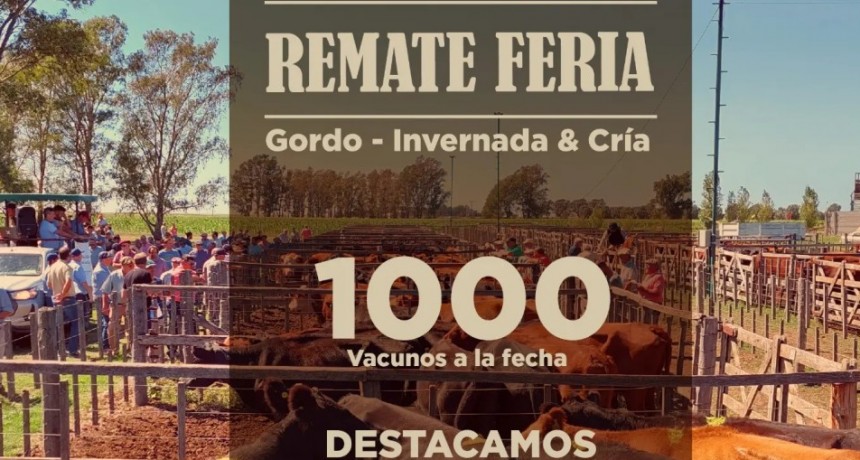 Se viene el remate feria de Civardi y Blanco en Dorrego