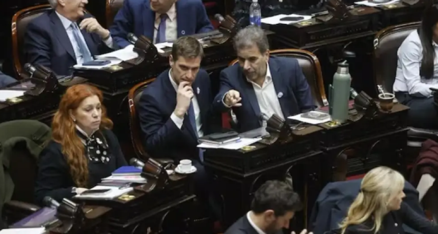 C&oacute;mo vot&oacute; cada bloque la ley que reduce el alcance del subsidio por Zona Fr&iacute;a