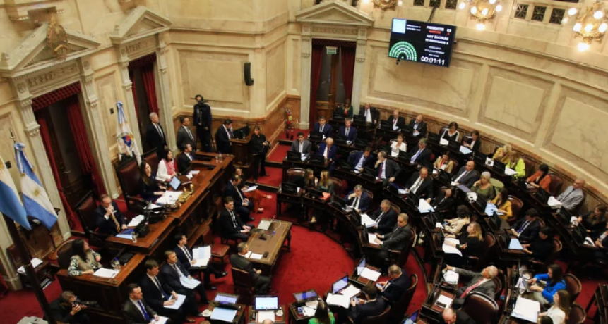 Ley Bases: qué senadores votaron a favor y cuáles en contra