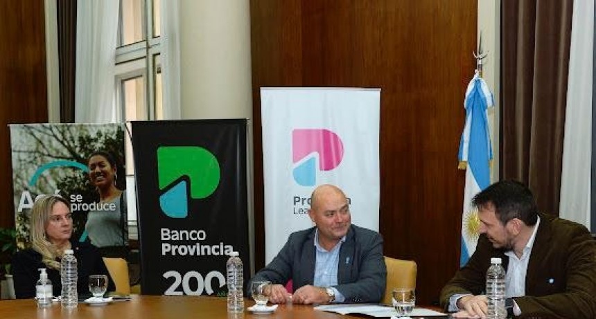 Informes municipales