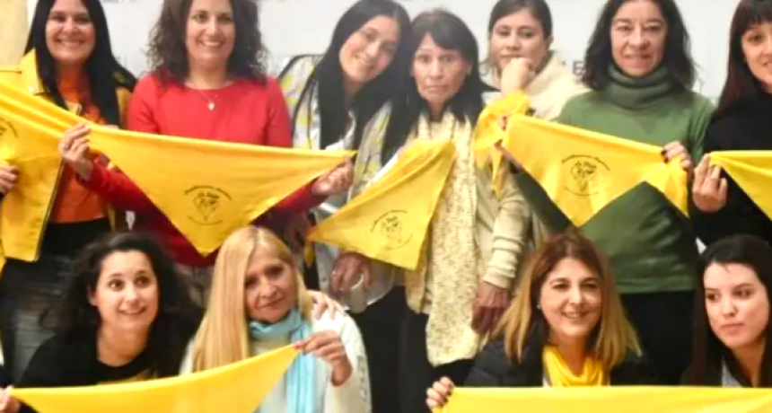 El Senado bonaerense aprobó la Ley de Endometriosis: “Una de cada diez mujeres lo padece”