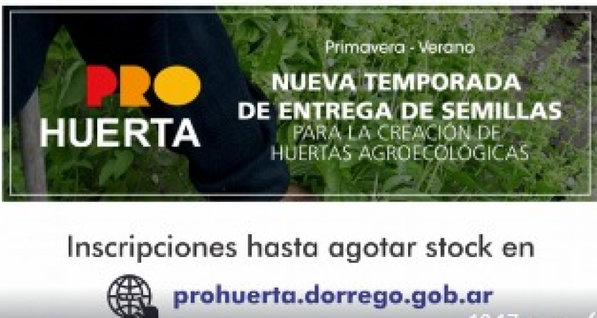 Varios informes municipales