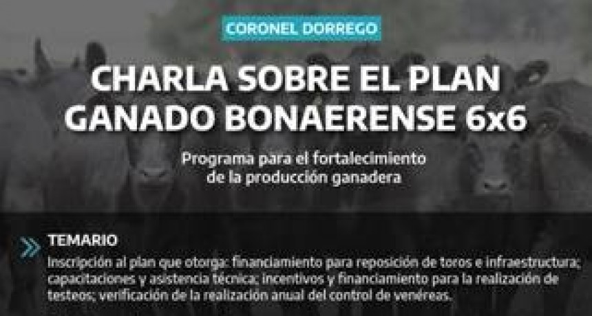 Varios informes municipales