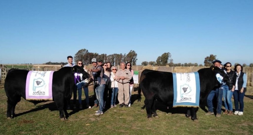 Aldazabal, los patrones de Dorrego