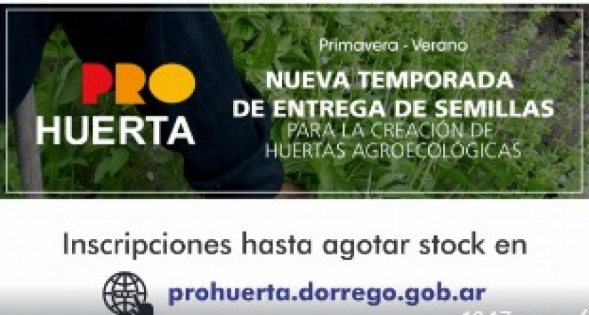 Varios informes municipales