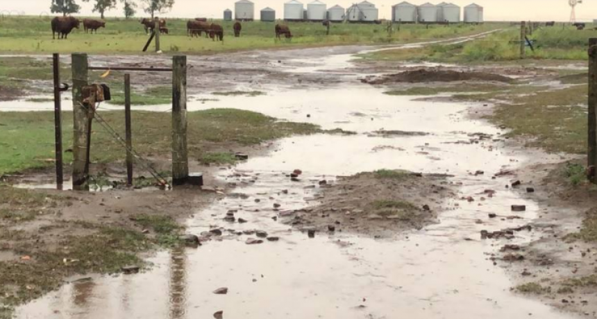 Lluvias , llegaron en el momento justo