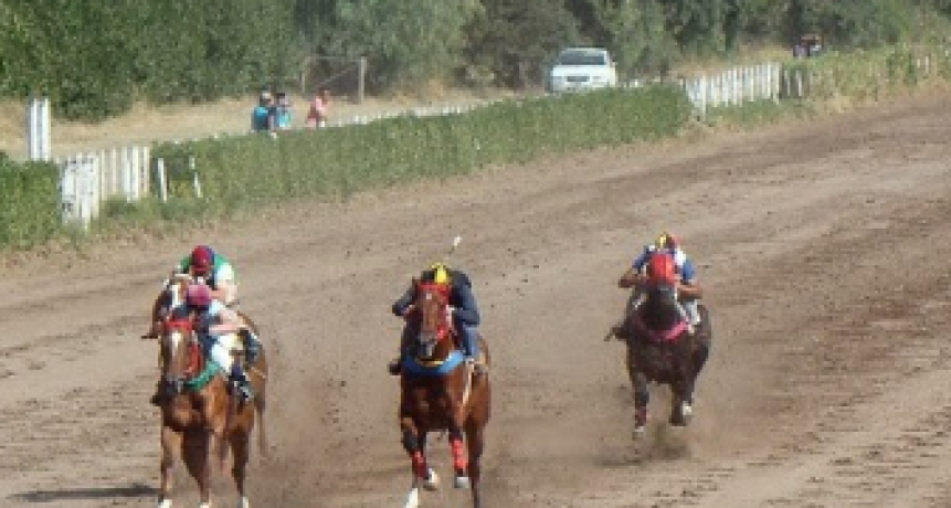 Una persona se accidentó ayer en una carrera de caballos en nuestra ciudad