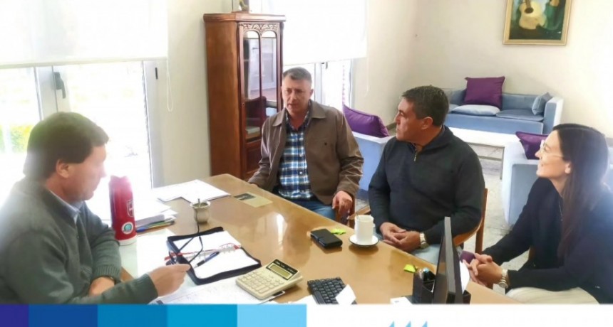 Varios informes municipales