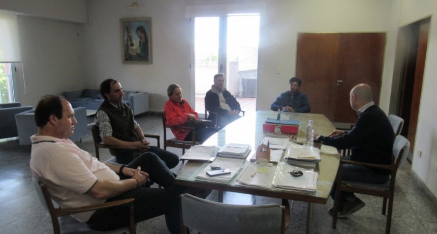 Resumen de informes de prensa municipal 