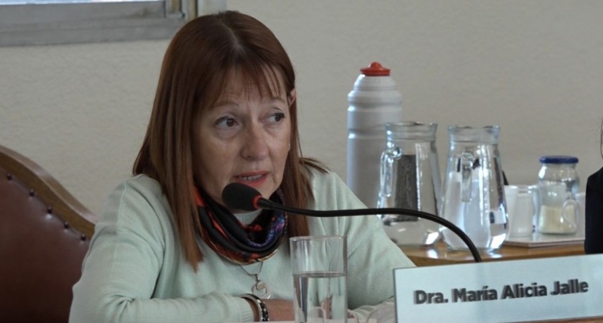 Alicia Jalle: No hablamos de utopias, sino de realidades