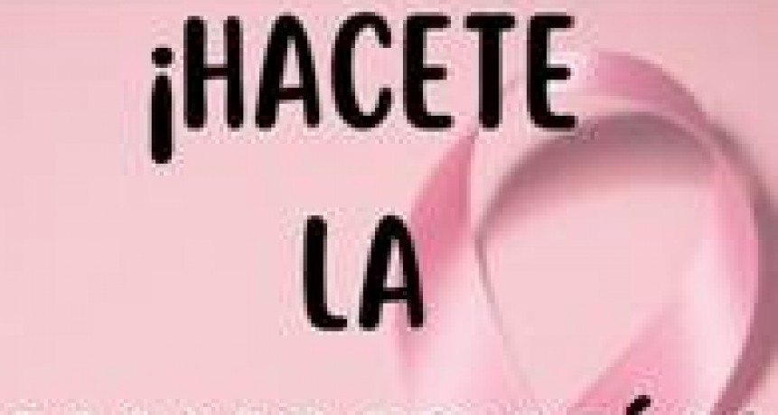 Informes municipales