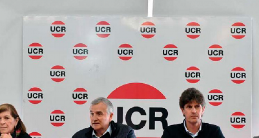 La UCR decidió que no acompañará a ningún candidato en el balotaje