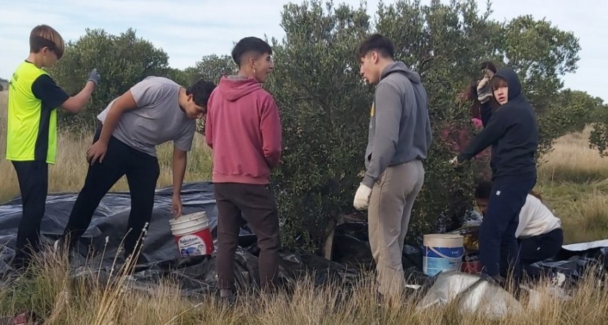 Oriente:  Alumnos del Instituto Ceferino Namuncurá producen aceite de oliva