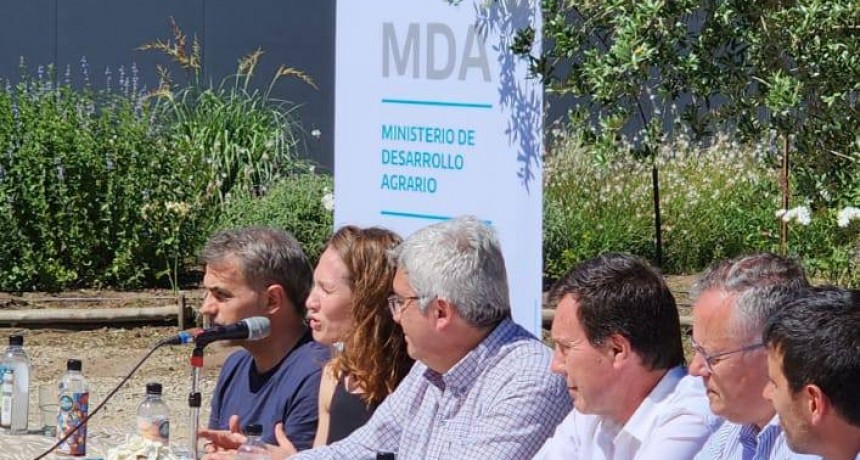 La Ruta del Olivo comienza en Dorrego.