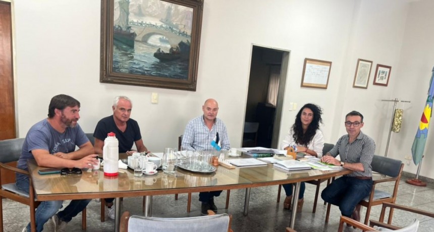 Informes municipales