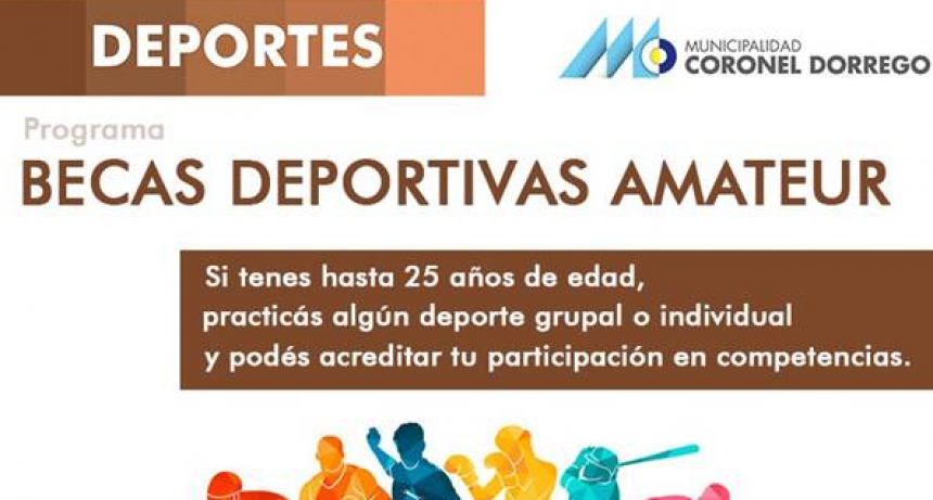 Informes municipales