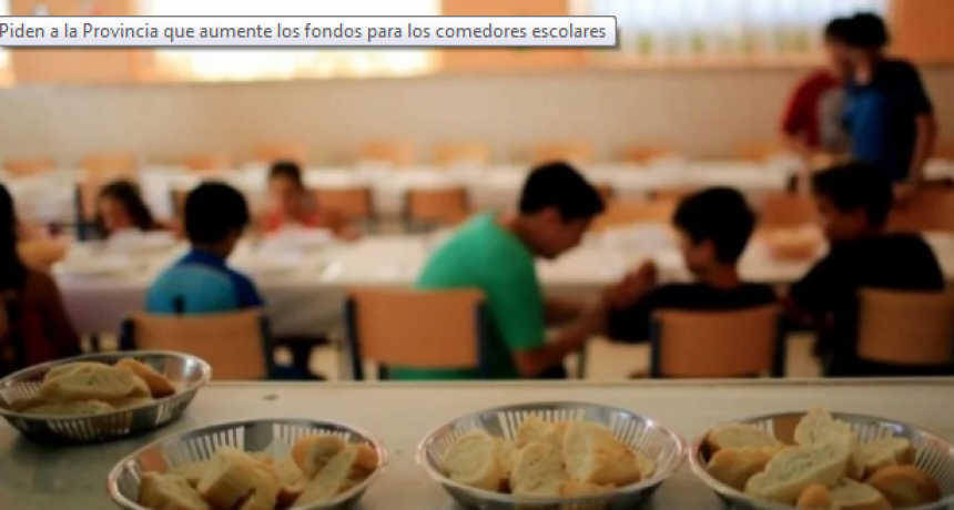 Piden a la Provincia que aumente los fondos para los comedores escolares