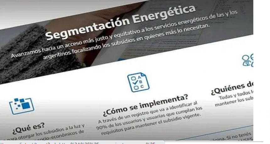 Segmentación de subsidios: qué pasa si hay errores en el formulario