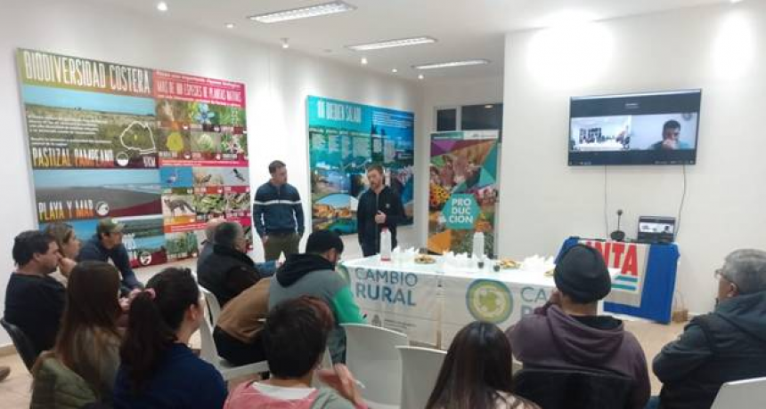 Informes municipales