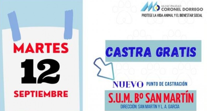 Informes municipales