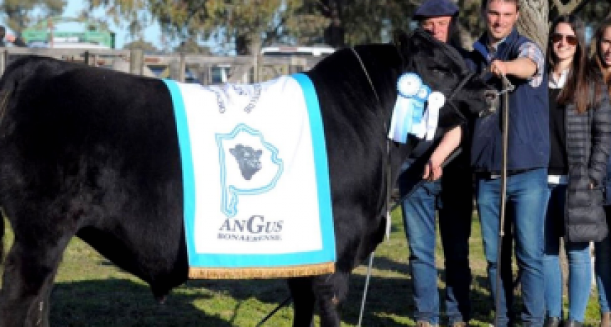 Expo Rural 2024: del 31 de Agosto al 1 de Septiembre